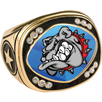 Custom Design Gold Champion Rings - otkworld