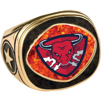 Custom Design Gold Champion Rings - otkworld