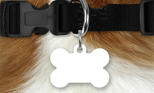 Custom Dog Tag