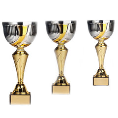 Gold & Silver Metal Cup