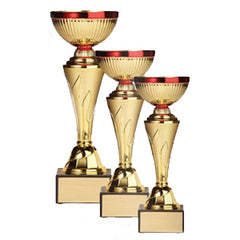 Gold & Red Metal Cup