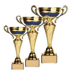 Gold & Blue Metal Cup