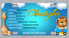 Baby Boy Birth Card Mini License Plate