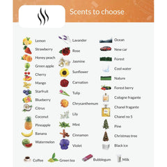 100 - Scented Air Fresheners | $3.30/freshener