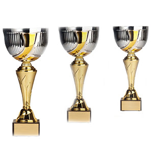 Gold & Silver Metal Cup
