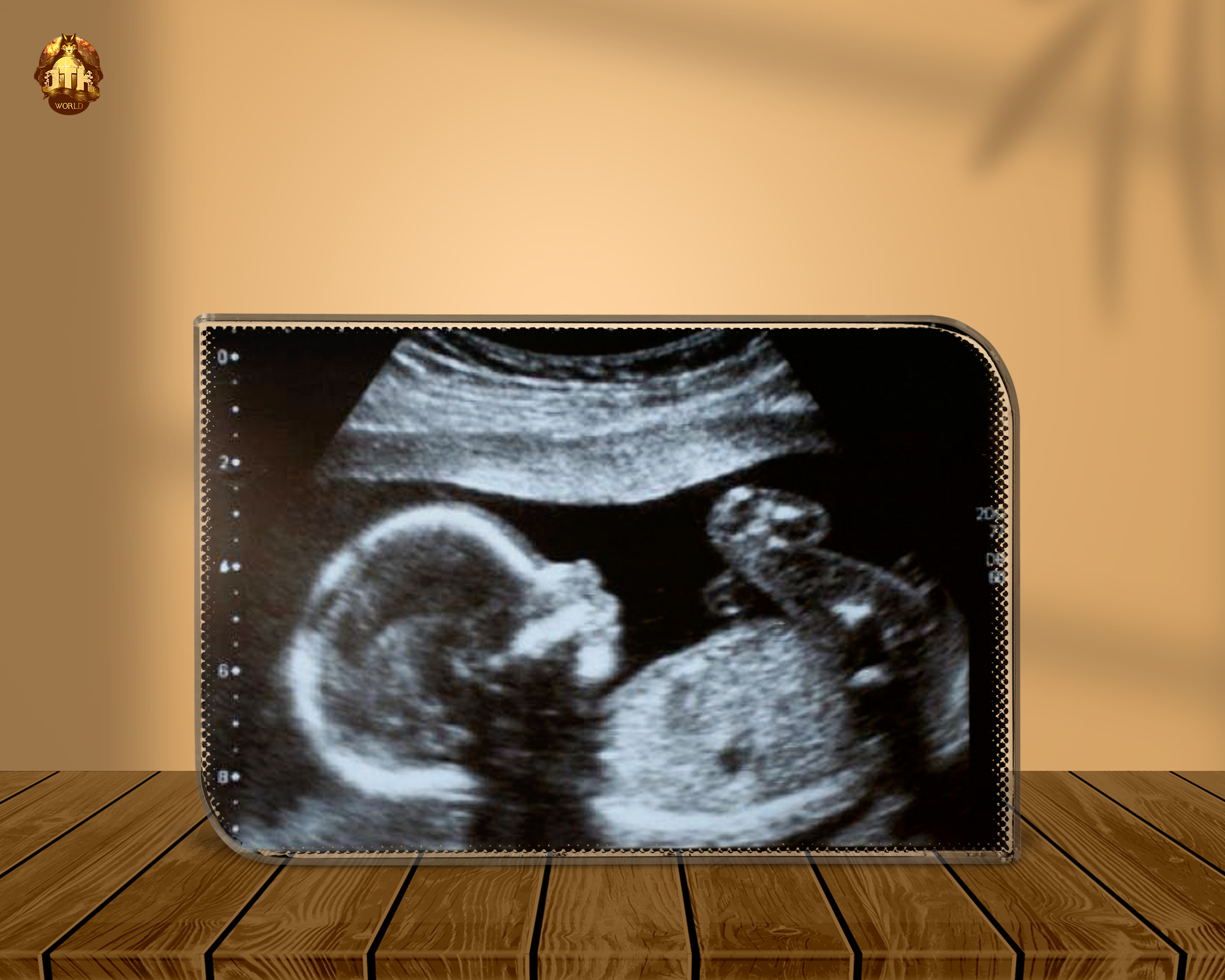 Baby Ultrasound Photo Crystal